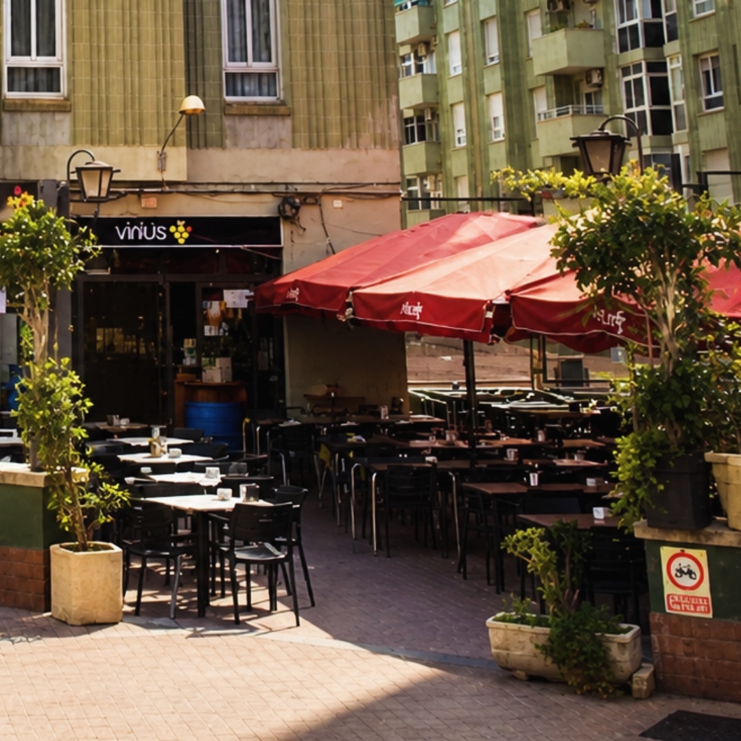 Vinius galería